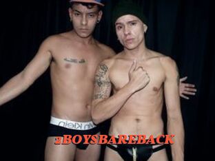 2BOYSBAREBACK Livespot