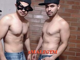 2MALEGYM