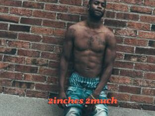 2inches_2much