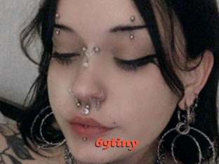 69tiny