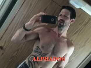 ALPHADOG