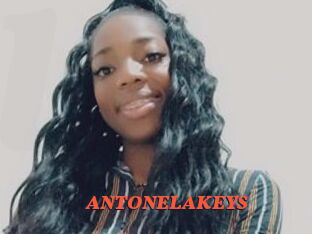 ANTONELAKEYS Livespot