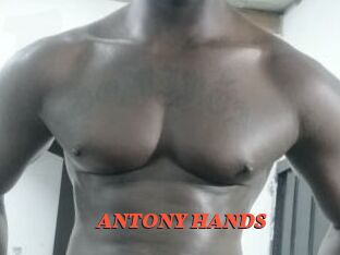 ANTONY_HANDS