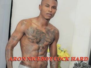 ARON_NICEBOY_COCK_HARD