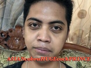 ASIANcobraHUGEcockPRINCE Livespot