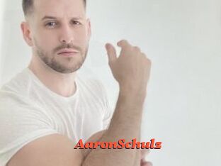 AaronSchulz