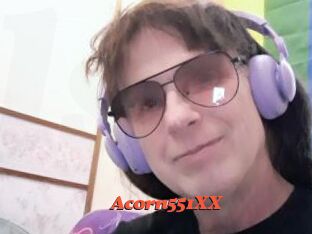 Acorn551XX