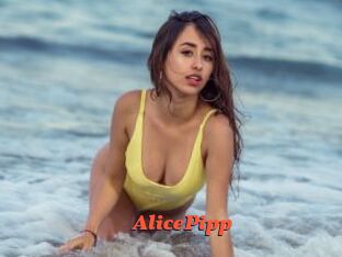 AlicePipp