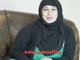 Amenamusllim