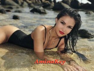 AminaKey