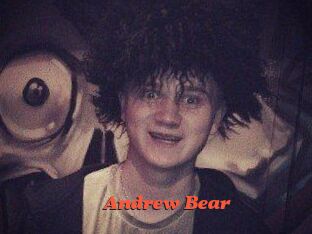 Andrew_Bear