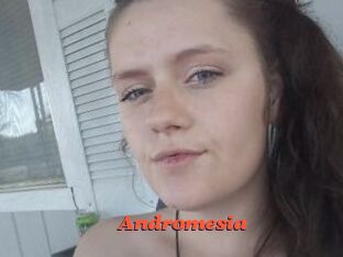 Andromesia