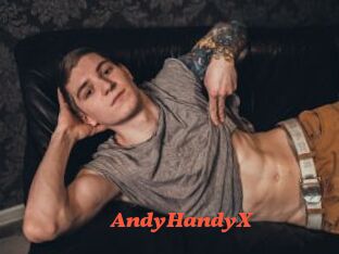AndyHandyX
