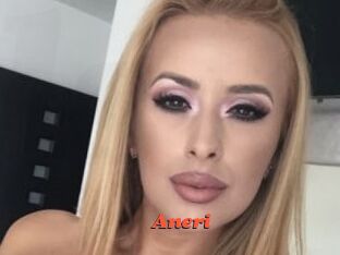 Aneri