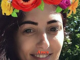 Anes