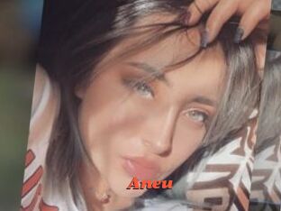 Aneu