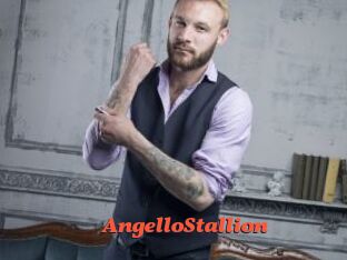 AngelloStallion