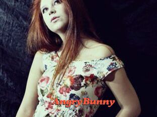 AngryBunny