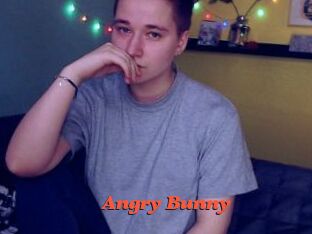 Angry_Bunny