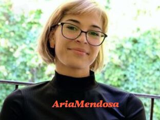 AriaMendosa