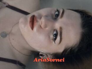 AriaSornei