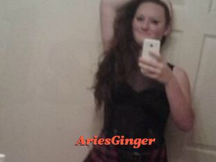 AriesGinger