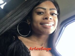 AriesSage