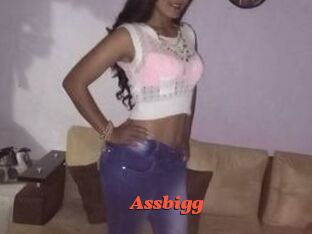 Assbigg