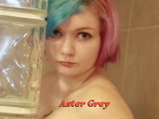 Aster_Grey