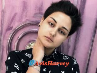 AvisHarvey