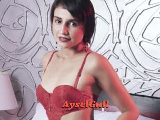 AyselGull