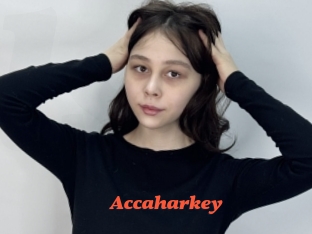 Accaharkey