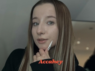 Accahey
