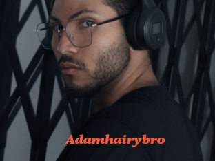 Adamhairybro