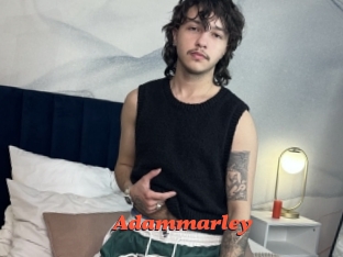 adammarley Livespot