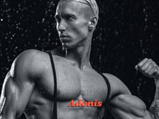 Adonis_