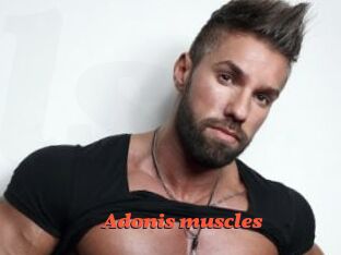 Adonis_muscles