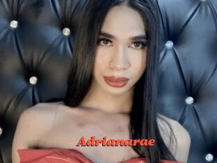 Adrianarae