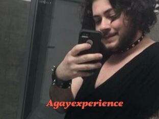 agayexperience Livespot