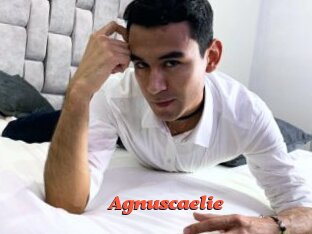 Agnuscaelie