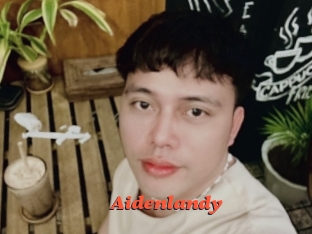 Aidenlandy