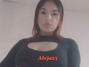 Aleja23