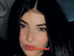 Alicerosi