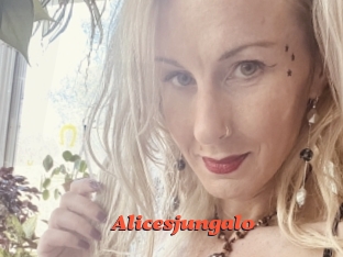Alicesjungalo