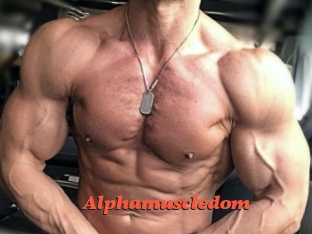 alphamuscledom Livespot