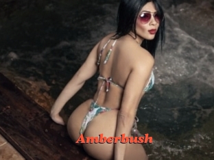 Amberbush