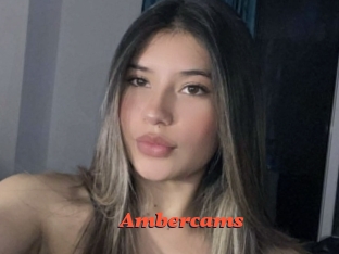 Ambercams