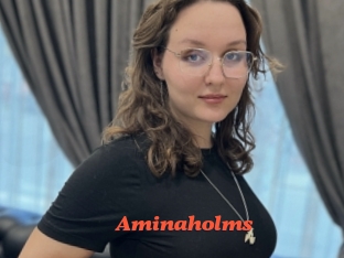Aminaholms