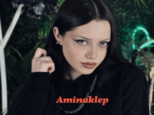 Aminaklep