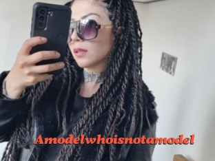 Amodelwhoisnotamodel